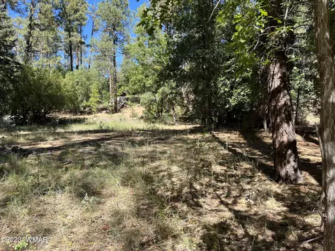 tbd W Pine Shadow Dr, Lakeside, AZ 85929 photo 3