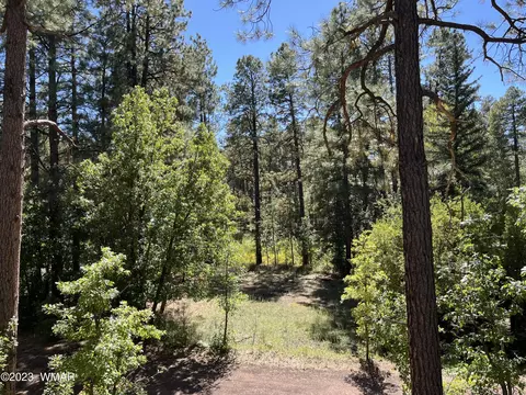 tbd W Pine Shadow Dr, Lakeside, AZ 85929 photo 2