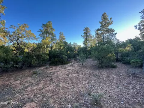 871 S Falling Leaf Rd, Show Low, AZ 85901 photo 1