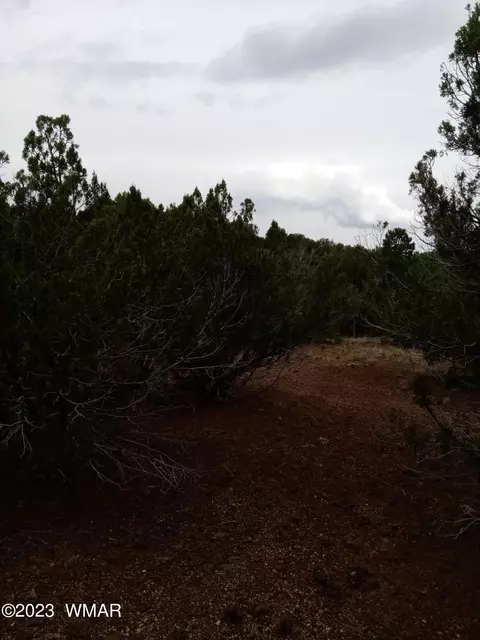 1852 Bourdon St, Show Low, AZ 85901