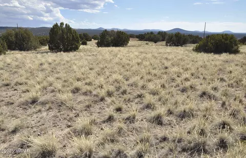 23 County Road 8249 #26, Concho, AZ 85924