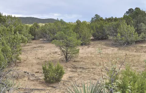 9 County Road 3038 #656, Concho, AZ 85924
