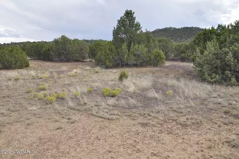 23 County Road 3043 #753, Concho, AZ 85924