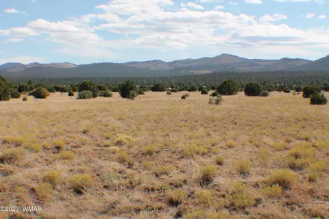 1568 Vernon Mcnary Road Rd, Vernon, AZ 85940