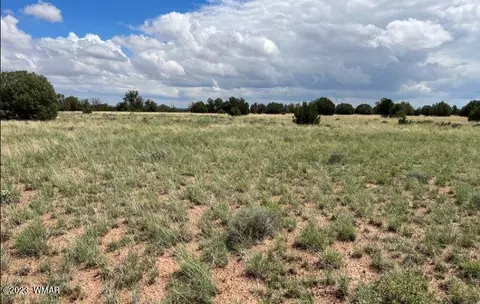 019 N 9033 # a, Concho, AZ 85924