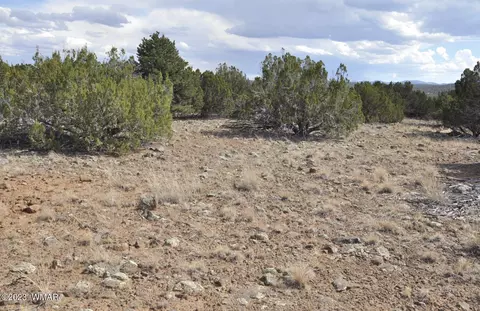 35 County Rd 8239 #86, Concho, AZ 85924