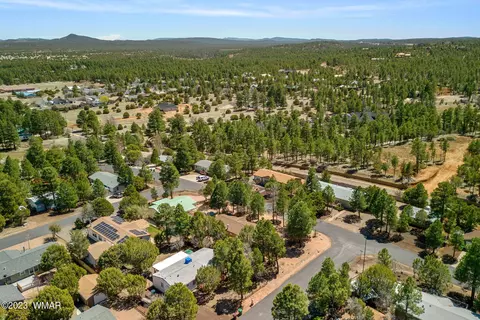 311 Timber Ridge Loop, Show Low, AZ 85901 photo 29