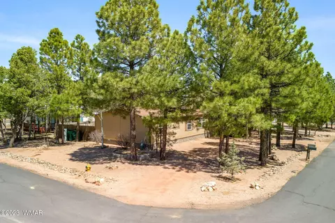 311 Timber Ridge Loop, Show Low, AZ 85901 photo 26