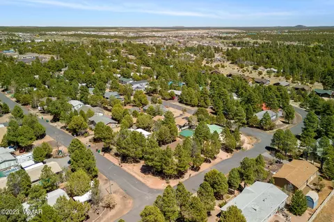 311 Timber Ridge Loop, Show Low, AZ 85901 photo 28