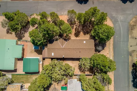 311 Timber Ridge Loop, Show Low, AZ 85901 photo 30