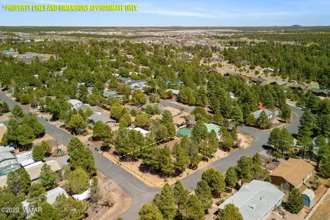 311 Timber Ridge Loop, Show Low, AZ 85901 photo 31
