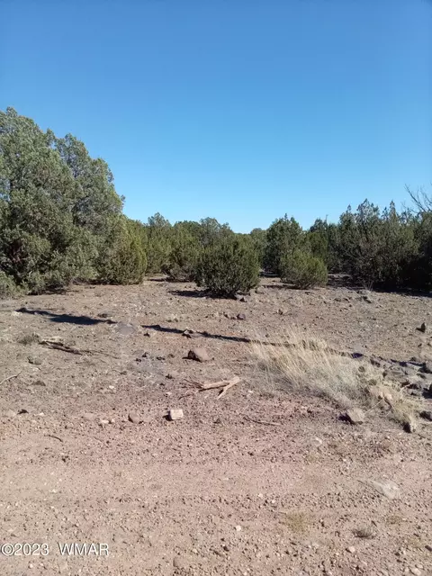 tbd Woodside Trl 304-71-006j, Show Low, AZ 85901