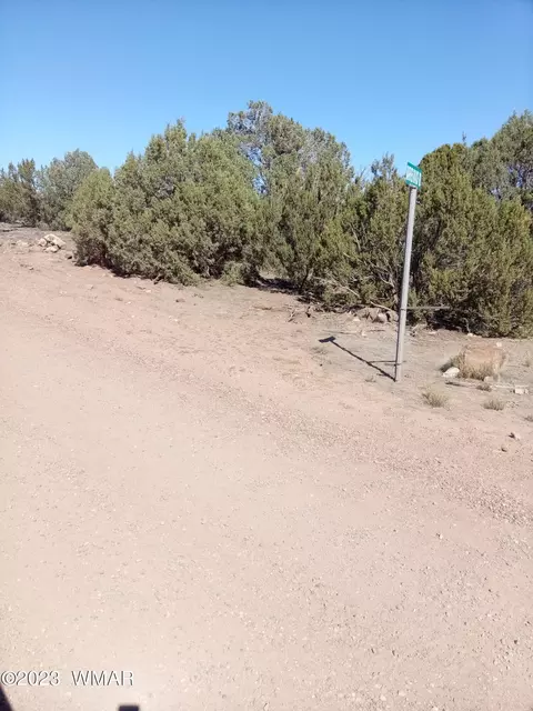 Tbd Woodside Trl 304-71-006k, Show Low, AZ 85901
