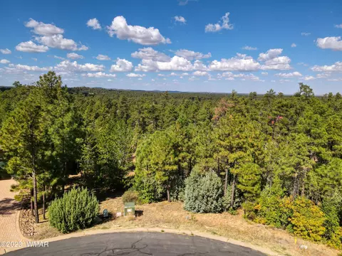 1790 W Snow Creek Trl, Show Low, AZ 85901