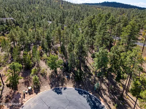1970 Silver Tree Ln, Show Low, AZ 85901