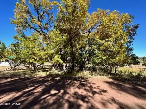 5510 Blue Jay Dr, Pinedale, AZ 85934