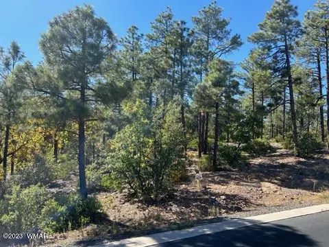 1161 W Snow Creek Trl, Show Low, AZ 85901