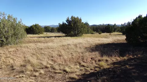 28 County Road 3190 #352, Vernon, AZ 85940
