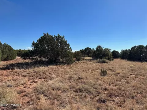 Tbd Cr 8284 Irwin, Concho, AZ 85924