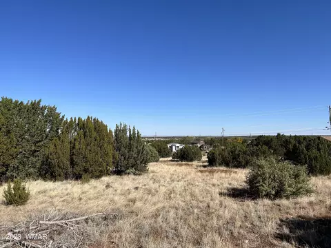 8594 Foley Pl, Show Low, AZ 85901