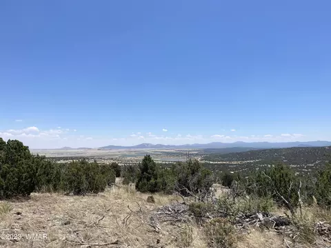 30 Alaska Ave, Concho, AZ 85924