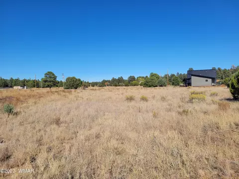 2278 Cabin Dr, Overgaard, AZ 85933 photo 2