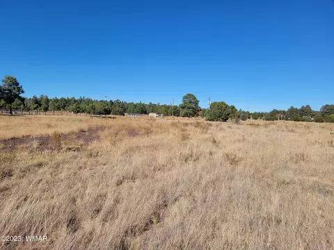 2278 Cabin Dr, Overgaard, AZ 85933 photo 3