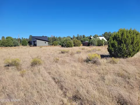 2278 Cabin Dr, Overgaard, AZ 85933 photo 4