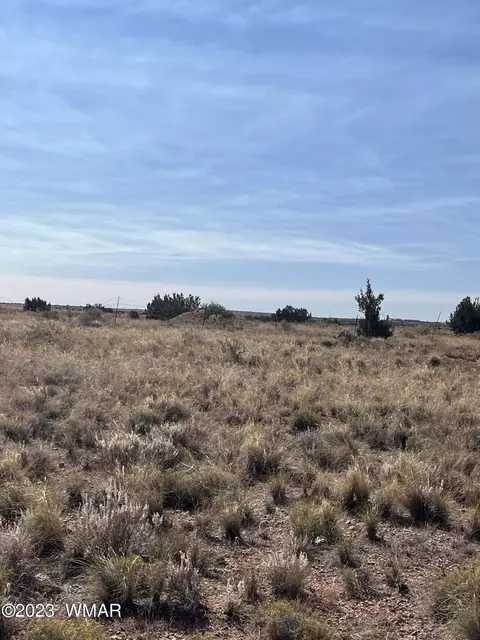 7541 Cedar Ln, Snowflake, AZ 85937