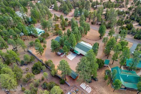 2082 Forest Park Dr, Overgaard, AZ 85933 photo 70