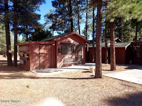 2082 Forest Park Dr, Overgaard, AZ 85933 photo 37