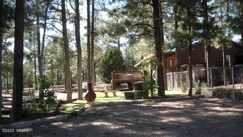2082 Forest Park Dr, Overgaard, AZ 85933 photo 59