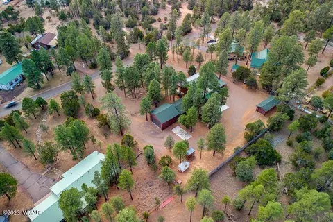 2082 Forest Park Dr, Overgaard, AZ 85933 photo 68