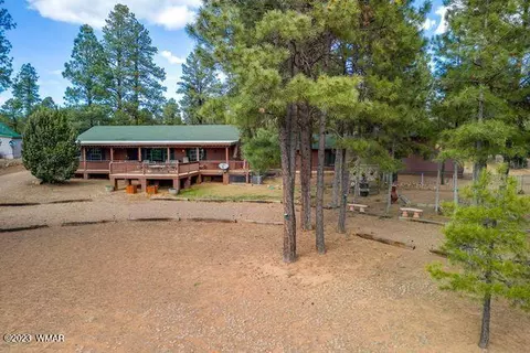 2082 Forest Park Dr, Overgaard, AZ 85933 photo 62