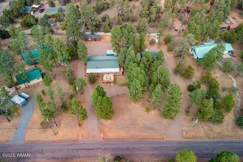2082 Forest Park Dr, Overgaard, AZ 85933 photo 65