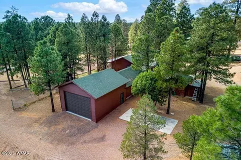 2082 Forest Park Dr, Overgaard, AZ 85933 photo 63