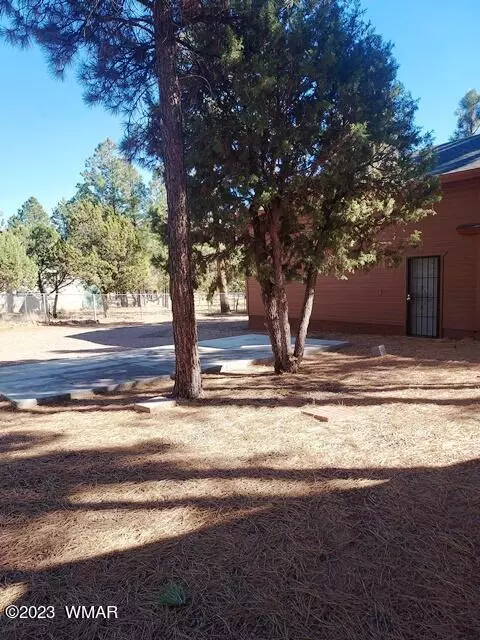 2082 Forest Park Dr, Overgaard, AZ 85933 photo 43