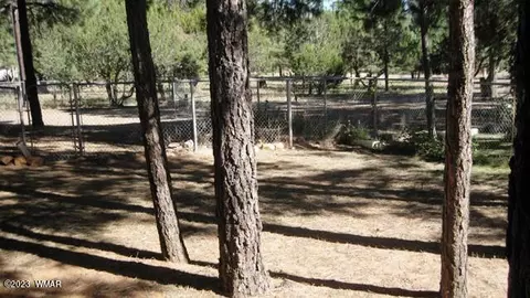 2082 Forest Park Dr, Overgaard, AZ 85933 photo 52