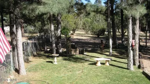 2082 Forest Park Dr, Overgaard, AZ 85933 photo 57
