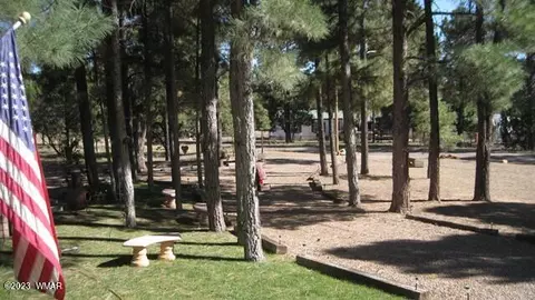 2082 Forest Park Dr, Overgaard, AZ 85933 photo 58