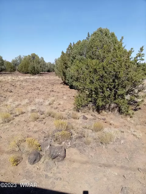 tbd Kc Ranch Rd Parcel 304-78-006a, Show Low, AZ 85901