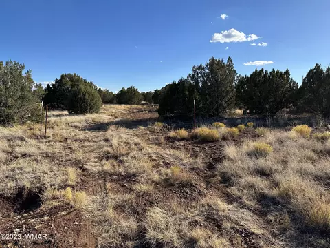 8455 Snowflake Cir, Show Low, AZ 85901