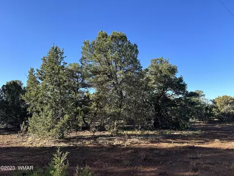 8 N3480, Vernon, AZ 85940