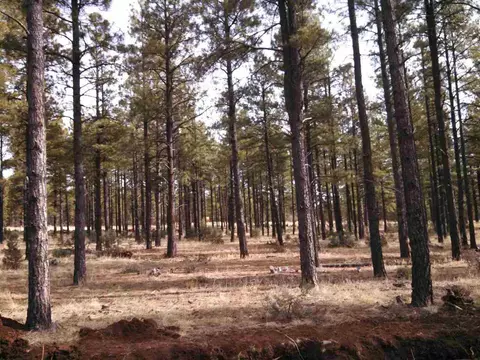 tbd 1 Porter Mountain Rd, Lakeside, AZ 85929