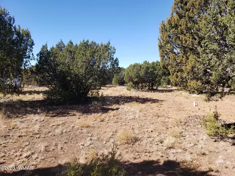 26 Co Rd, Vernon, AZ 85940