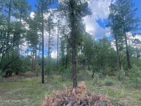 Tbd 4 Acres Off Wyoming Way, Pinetop, AZ 85935