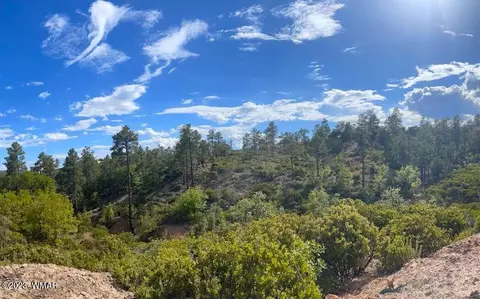6303 Deer Run Rd, Show Low, AZ 85901