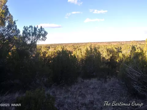 8762 8764 8766 Silver Creek Dr, Show Low, AZ 85901