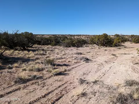 tbd N6112, Saint Johns, AZ 85936
