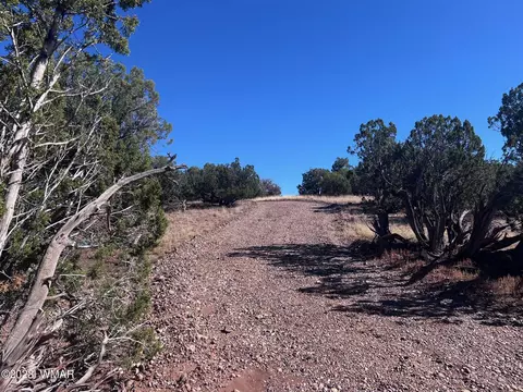 4277 Colt Rd, Snowflake, AZ 85937 photo 2